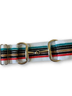 2” Color Stripe
